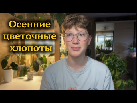 Видео: Осенние хлопоты с растениями,пересадка антуриумов , кактусов и перестановка 