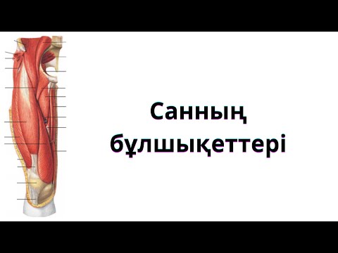 Видео: САН БҰЛШЫҚЕТТЕРІ.