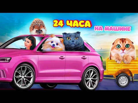 Видео: В ПЕРВЫЙ Раз 24 ЧАСА в МАШИНЕ с КОТЯТАМИ! С СОБАКОЙ и ЕЖОМ! ПУТЕШЕСТВИЕ КОШКИ и СОБАКИ НА МАШИНЕ