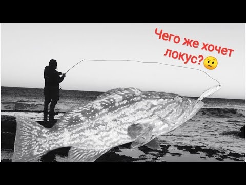 Видео: На что ловиться Локус??? Наконец то я его поймал  2.2.22