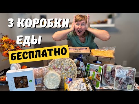 Видео: Что внутри коробок с бесплатной едой из Фудбанка в США?