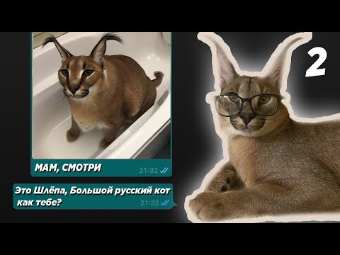 Видео: Реакция родителей на Шлёпу 2 (Большой русский Гоша каракал)