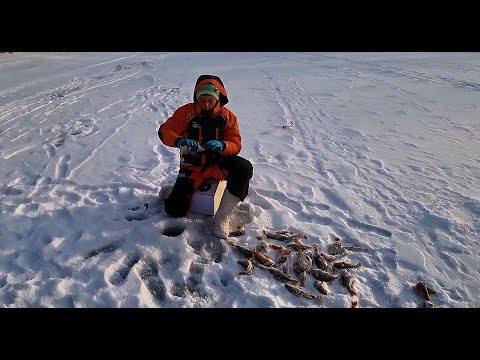 Видео: С НАТАШЕЙ ПОПАЛИ НА ЖОР !! Л ЭТОЙ ЛУНКЕ ХОТЬ МЕШОК ЛОВИ!!Зимняя рыбалка!