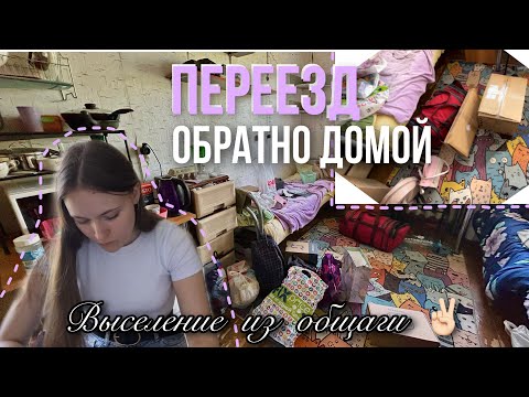 Видео: переезд из общаги