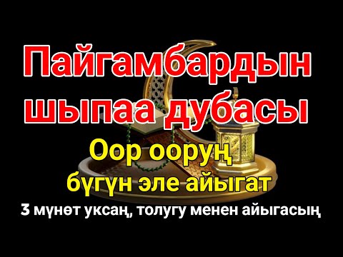 Видео: Пайгамбардын дубасы — 3 мүнөттө айыгасың! Угуп коюу эле жетиштүү