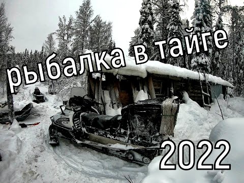 Видео: СУПЕР РЫБАЛКА  КОМИ!!! Ловля Ельца и Хариуса!!! 2022