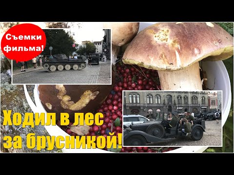 Видео: Дача/Немецкие танки/Брусника.