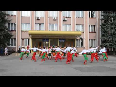 Видео: Непоседы Доброполье День флага 2019