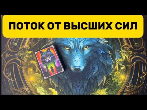 Видео: ПОТОК ОТ ВЫСШИХ СИЛ 🙏