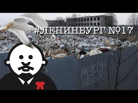 Видео: Народный эколог - Мусорные полигоны и свалки Петербурга и Ленобласти / #ленинбург