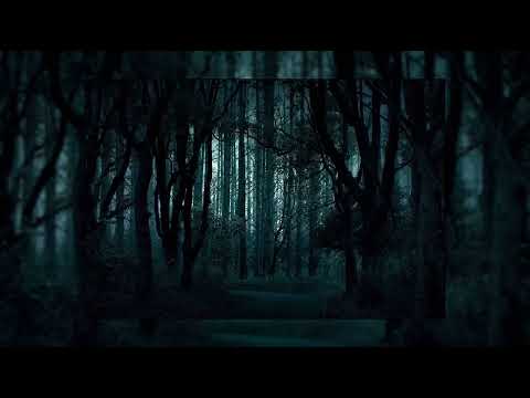 Видео: Уровень А-2 - тропинка в лесу (перезалив с канала wos)