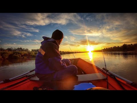 Видео: РЫБАЛКА ЛЕТОМ С НОЧЕВКОЙ 🔥 что ещё надо?