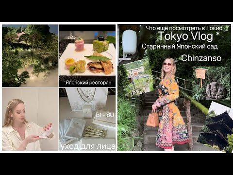 Видео: Влог Токио ⛩️ Старинный сад  🍱  Японская кухня   🥰 Бьюти добавки & уход с гнездом ласточки