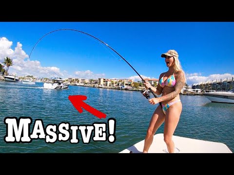 Видео: Рыбалка в бухте Миллионера, КИШАЩЕЙ АКУЛАМИ, где ВСЕ ПЛАВАЮТ!!! (Жестокие бои!!)