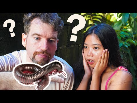 Видео: НАШЕ ЭКЗОТИЧЕСКОЕ ЖИВОТНОЕ / ЖИЗНЬ НА ОСТРОВЕ /ФИЛИППИНЫ