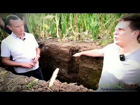Видео: No-till технологията и ефектът, който тя оказва върху почвеното плодородие и полезната микрофлора