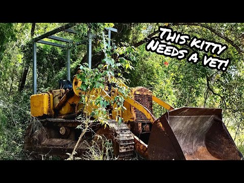 Видео: Сможет ли этот 60-летний CATERPILLAR снова завестись и работать?