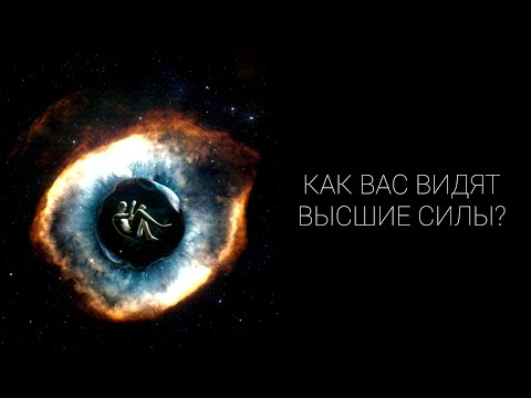 Видео: 🧚‍♀️✨КАК ВАС ВИДЯТ ВЫСШИЕ СИЛЫ?🧚‍♀️✨ #tarot #таро