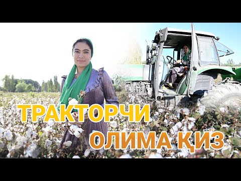 Видео: Тракторчи олима қиз
