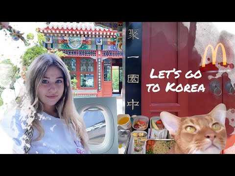 Видео: Лечу в Корею одна | China Eastern Airlines | Возвращаюсь на учебу | #сеул #учебавкорее #южнаякорея