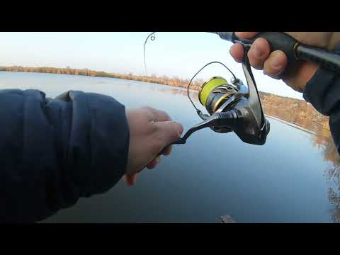 Видео: Судак в ноябре: на что ловлю, как ловлю.