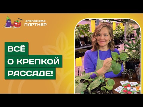 Видео: СЕКРЕТЫ БОГАТОГО УРОЖАЯ – ВСЁ О КРЕПКOЙ РАССАДЕ!