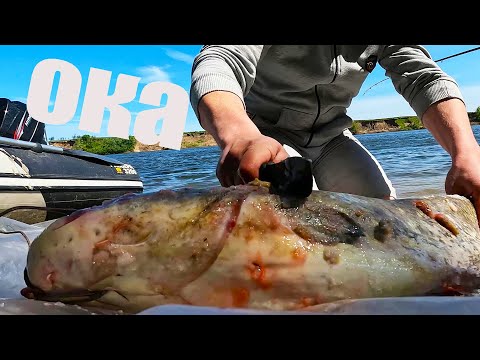 Видео: ОТКРЫТИЕ СЕЗОНА р.ОКА РЯЗАНСКАЯ обл.