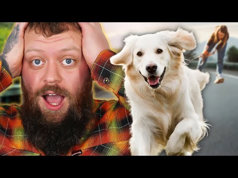 Видео: Как быстро отучить собаку тянуть поводок