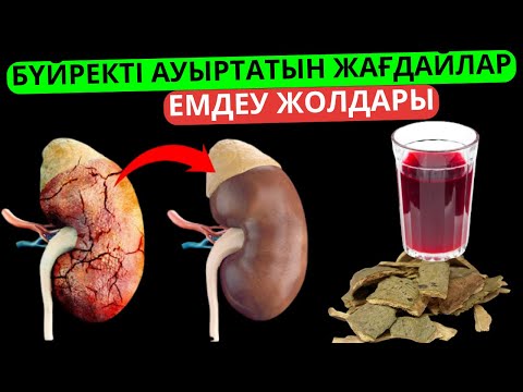 Видео: Бүйрек ауырса не істейміз, бүйректі емдейтін өнімдер, бүйрек ауруын емдеу