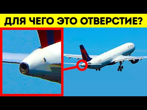 Видео: 90+ малоизвестных фактов для расширения кругозора