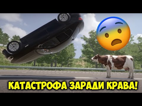 Видео: СТАВАМ ПОЛИЦАЙ ЗА 1 ДЕН!👮