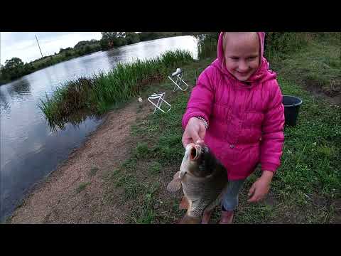 Видео: рыбалка на Карпа с Ребенком