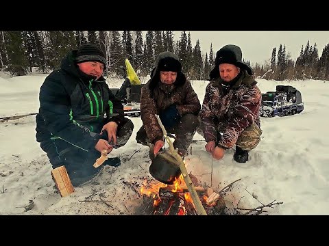 Видео: Мощные поклёвки хариуса. Таёжная речка раздаёт трофеи. Жизнь и рыбалка в тайге.