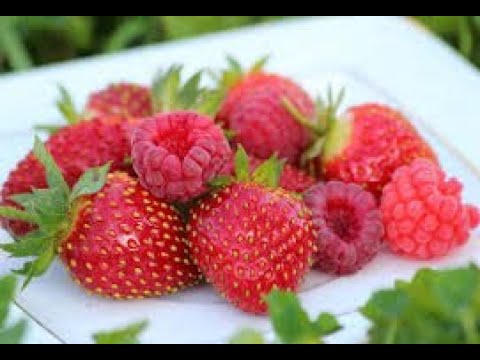 Видео: Посылка от Светланы Татур.САЖЕНЦЫ.