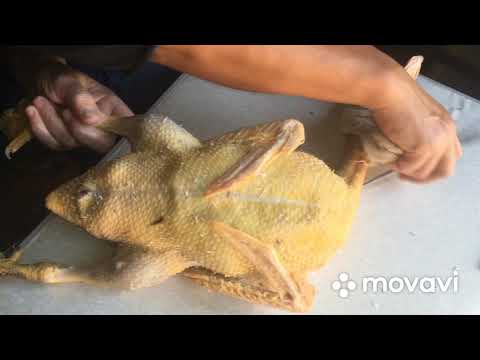 Видео: Щипаем уток и выбираем какой цвет содержать ?