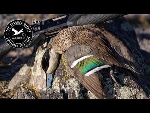 Видео: Охота на водоплавающую дичь на высоте 15 000 футов | Путешествие внутрь, Южная Америка: охота на ...