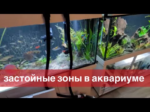 Видео: Застойные зоны в аквариуме. Как сделать течение?