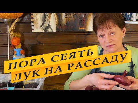 Видео: Пора сеять лук на рассаду