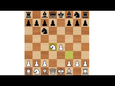 Видео: Дебютные ловушки в шахматах. Шотландская партия