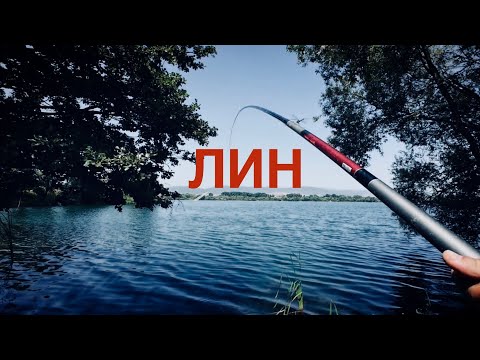 Видео: Успішна ловля линя на поплавок | Риболовля на мальовничому кар'єрі