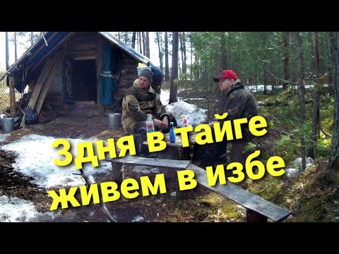 Видео: ЖИЗНЬ В ТАЙГЕ/ В ИЗБУ НА 3 ДНЯ #тайгахмао #изба #жизньвтайге
