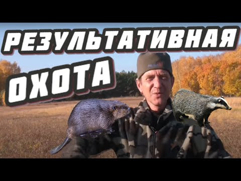 Видео: капкан бриджер проходной установка охота на барсука приманка тако ловля бобров приманка бивер крик