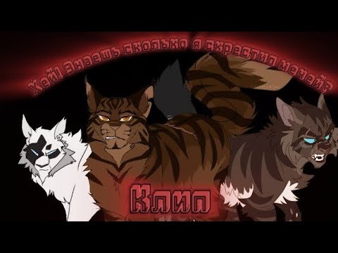 Видео: |Злодеи|Хей! Знаешь сколько я скрестил мечей?|Клип|Коты-воители|