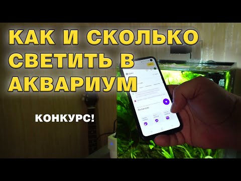 Видео: Как и на сколько включать свет в аквариуме. Делаю умный свет + Конкурс!