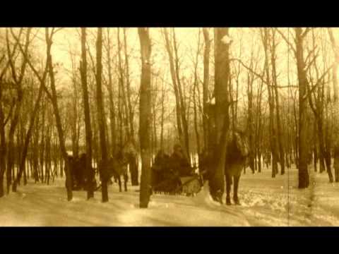 Видео: #102 ГИС. Ботанический сад