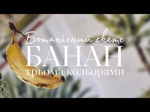 Видео: Швидкий ботанічний скетч - малюємо банан трьома первинними кольорами від RÓSA | Катя Шиова