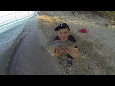 Видео: Первый карась на большом водоеме