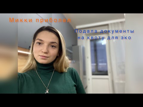 Видео: Подала документы на квоту для ЭКО, Микки приболел