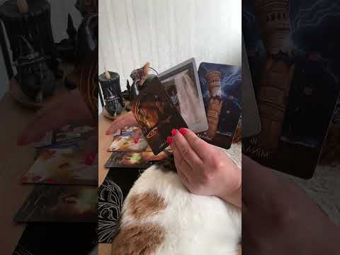 Видео: Какво решение е взел за вас