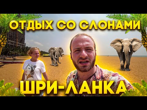 Видео: ШРИ-ЛАНКА ОТДЫХ С СЛОНАМИ/ПЛЯЖИ КОЛОМБО/ПИННАВЕЛА